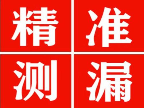 新密尚嘉漏水精准查找